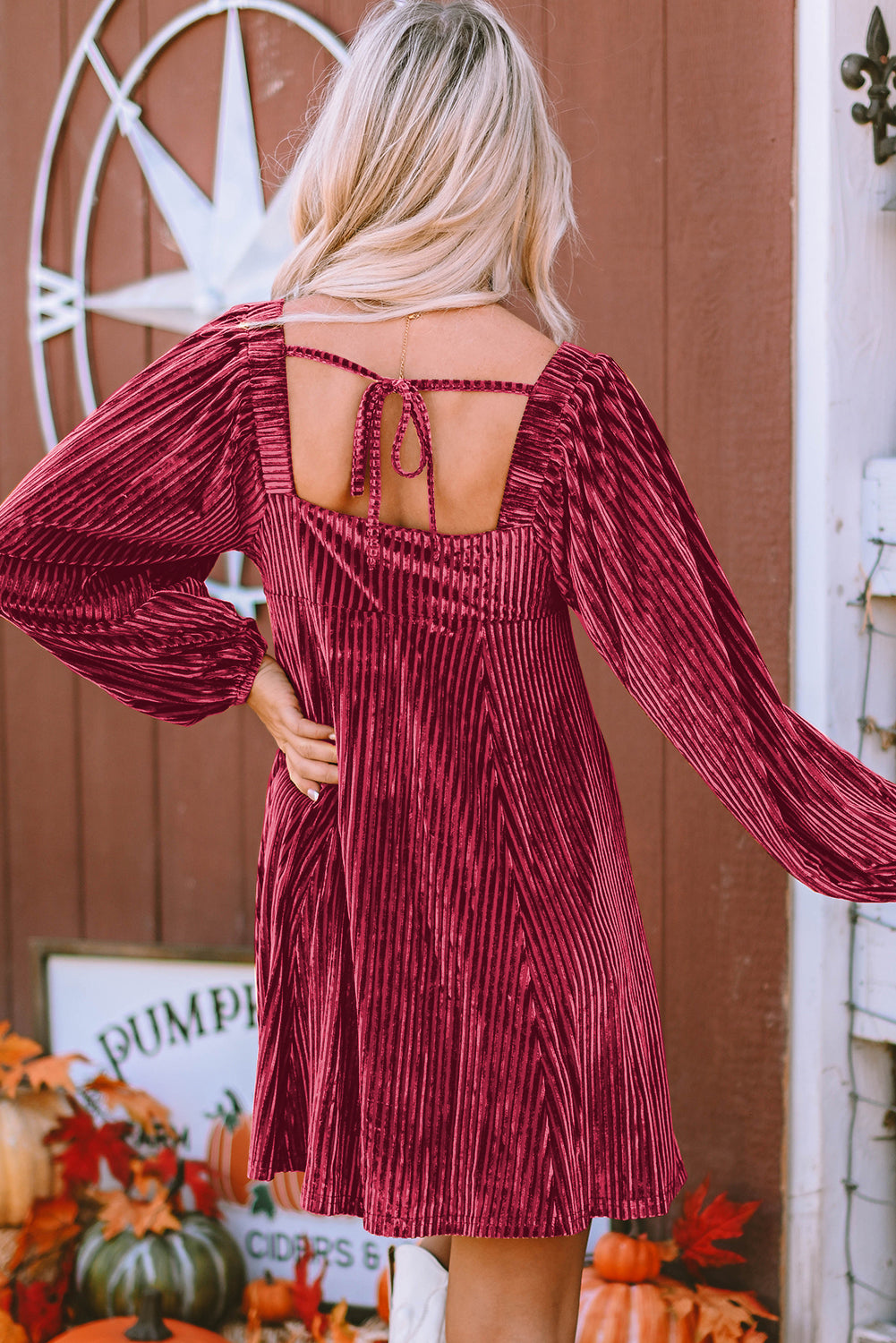 Chestnut Smocked Ribbed Velvet Babydoll Top